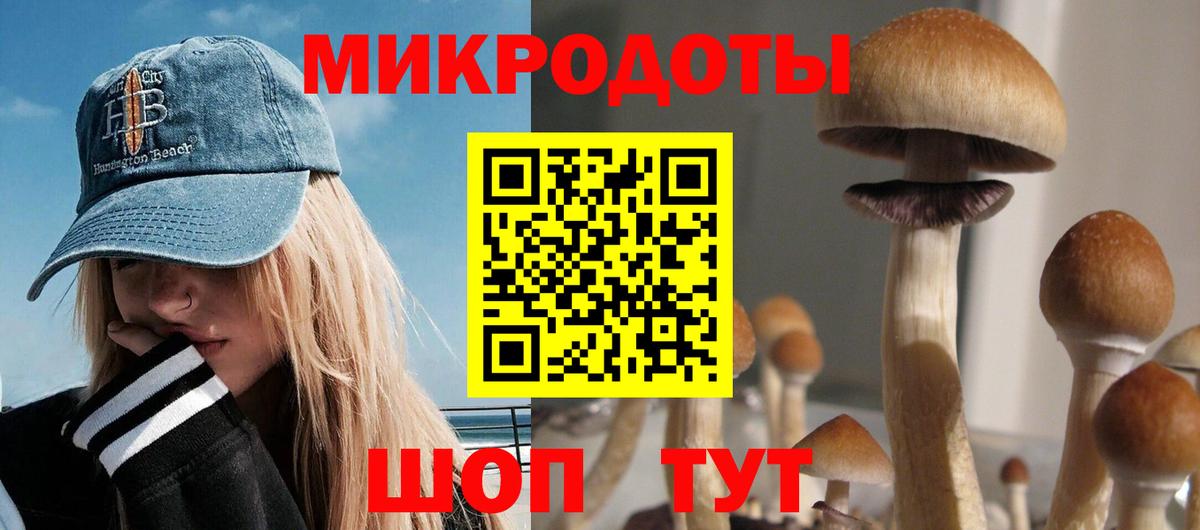 Псилоцибиновые грибы мицелий Майский